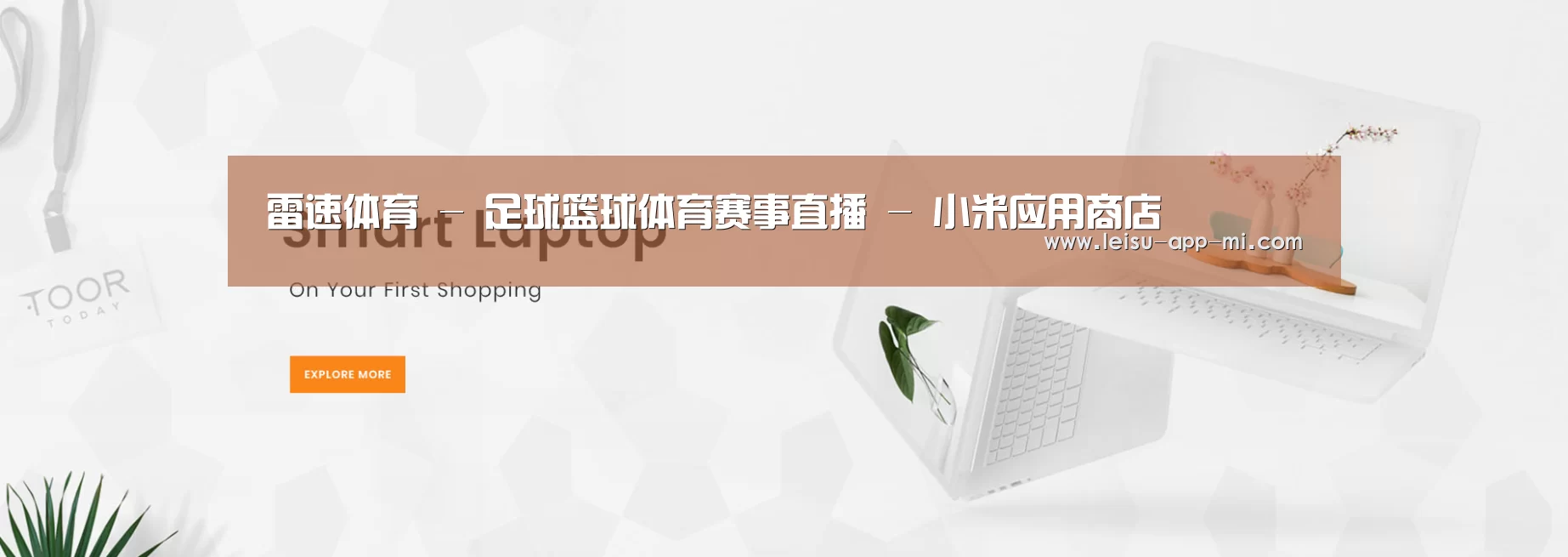 某某网络科技有限公司