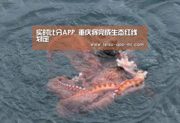 雷速APP下载