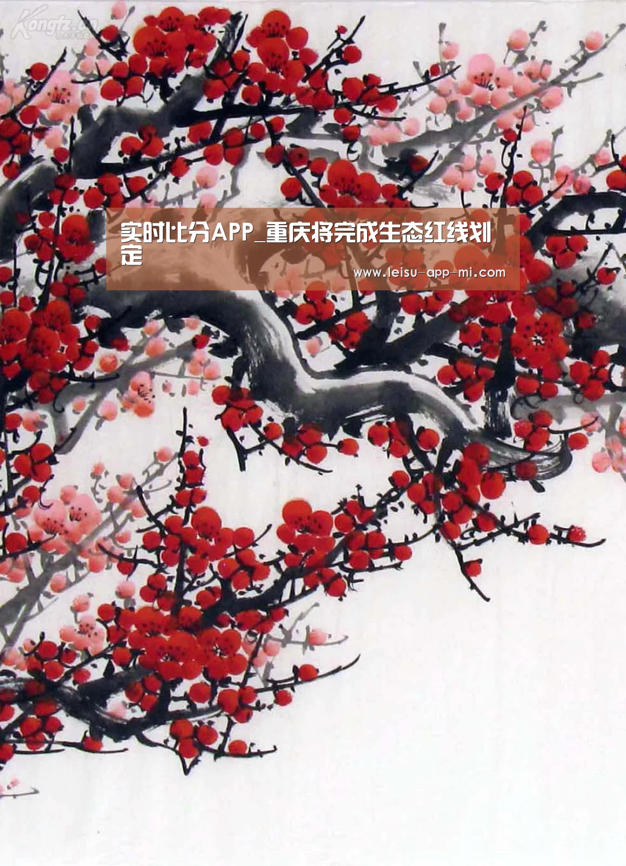 雷速客户端